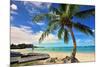 Beach near Oistins, Christ Church, Barbados, Caribbean-null-Mounted Art Print