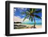 Beach near Oistins, Christ Church, Barbados, Caribbean-null-Framed Art Print