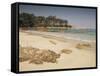 Beach Near Propriano, Corsica, France, Mediterranean-Michael Busselle-Framed Stretched Canvas