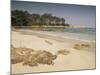 Beach Near Propriano, Corsica, France, Mediterranean-Michael Busselle-Mounted Photographic Print