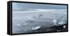 Beach Near the Glacial Lagoon Jokulsarlon and Glacier Breithamerkurjokull in Vatnajokull, Iceland-Martin Zwick-Framed Stretched Canvas