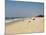 Beach Near the Leela Hotel, Mobor, Goa, India-R H Productions-Mounted Photographic Print