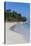 Beach of Bavaro, Punta Cana, Dominican Republic, West Indies, Caribbean, Central America-Michael-Stretched Canvas