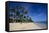 Beach of Bavaro, Punta Cana, Dominican Republic, West Indies, Caribbean, Central America-Michael-Framed Stretched Canvas