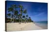 Beach of Bavaro, Punta Cana, Dominican Republic, West Indies, Caribbean, Central America-Michael-Stretched Canvas