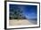 Beach of Bavaro, Punta Cana, Dominican Republic, West Indies, Caribbean, Central America-Michael-Framed Photographic Print