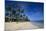 Beach of Bavaro, Punta Cana, Dominican Republic, West Indies, Caribbean, Central America-Michael-Mounted Photographic Print