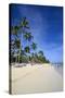 Beach of Bavaro, Punta Cana, Dominican Republic, West Indies, Caribbean, Central America-Michael-Stretched Canvas