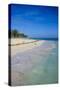 Beach of Bavaro, Punta Cana, Dominican Republic, West Indies, Caribbean, Central America-Michael Runkel-Stretched Canvas