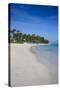 Beach of Bavaro, Punta Cana, Dominican Republic, West Indies, Caribbean, Central America-Michael Runkel-Stretched Canvas