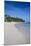 Beach of Bavaro, Punta Cana, Dominican Republic, West Indies, Caribbean, Central America-Michael Runkel-Mounted Photographic Print