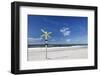 Beach of Kampen, Sylt, North Frisian Islands, Nordfriesland, Schleswig Holstein, Germany, Europe-Markus Lange-Framed Photographic Print