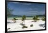 Beach of Koh Rong Samloem island, Cambodia, Indochina, Southeast Asia, Asia-Peter Schickert-Framed Photographic Print