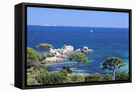 Beach of Palombaggia, Corsica, France, Mediterranean, Europe-Markus Lange-Framed Stretched Canvas