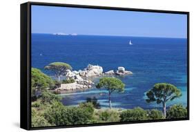 Beach of Palombaggia, Corsica, France, Mediterranean, Europe-Markus Lange-Framed Stretched Canvas