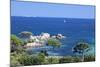 Beach of Palombaggia, Corsica, France, Mediterranean, Europe-Markus Lange-Mounted Photographic Print