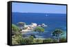 Beach of Palombaggia, Corsica, France, Mediterranean, Europe-Markus Lange-Framed Stretched Canvas