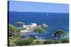 Beach of Palombaggia, Corsica, France, Mediterranean, Europe-Markus Lange-Stretched Canvas