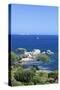 Beach of Palombaggia, Corsica, France, Mediterranean, Europe-Markus Lange-Stretched Canvas