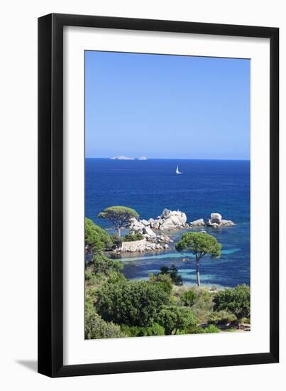 Beach of Palombaggia, Corsica, France, Mediterranean, Europe-Markus Lange-Framed Premium Photographic Print