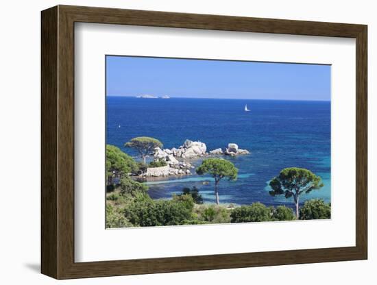 Beach of Palombaggia, Corsica, France, Mediterranean, Europe-Markus Lange-Framed Photographic Print