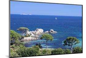 Beach of Palombaggia, Corsica, France, Mediterranean, Europe-Markus Lange-Mounted Photographic Print