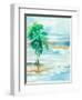 Beach of Paradise II-null-Framed Art Print