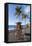 Beach of Puerto Naos, La Palma, Canary Islands, Spain, Europe-Gerhard Wild-Framed Stretched Canvas