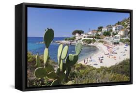 Beach of Seccheto, Island of Elba, Livorno Province, Tuscany, Italy-Markus Lange-Framed Stretched Canvas