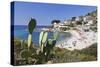 Beach of Seccheto, Island of Elba, Livorno Province, Tuscany, Italy-Markus Lange-Stretched Canvas