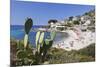 Beach of Seccheto, Island of Elba, Livorno Province, Tuscany, Italy-Markus Lange-Mounted Photographic Print