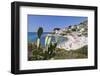 Beach of Seccheto, Island of Elba, Livorno Province, Tuscany, Italy-Markus Lange-Framed Photographic Print