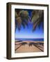 Beach of the Peak, Puerto Rico. Palm trees and their shadows on beach.-Stuart Westmorland-Framed Photographic Print