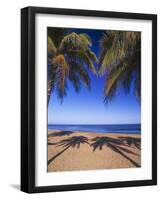 Beach of the Peak, Puerto Rico. Palm trees and their shadows on beach.-Stuart Westmorland-Framed Photographic Print