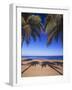 Beach of the Peak, Puerto Rico. Palm trees and their shadows on beach.-Stuart Westmorland-Framed Photographic Print