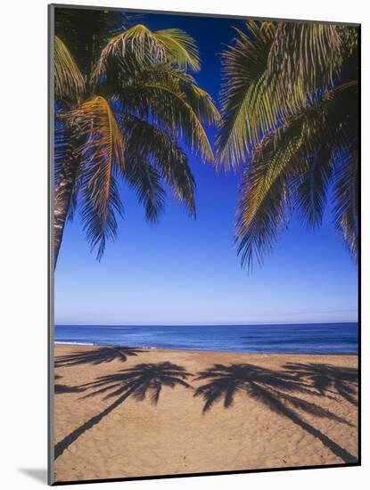 Beach of the Peak, Puerto Rico. Palm trees and their shadows on beach.-Stuart Westmorland-Mounted Photographic Print