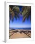 Beach of the Peak, Puerto Rico. Palm trees and their shadows on beach.-Stuart Westmorland-Framed Photographic Print