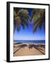 Beach of the Peak, Puerto Rico. Palm trees and their shadows on beach.-Stuart Westmorland-Framed Photographic Print