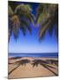 Beach of the Peak, Puerto Rico. Palm trees and their shadows on beach.-Stuart Westmorland-Mounted Photographic Print