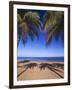 Beach of the Peak, Puerto Rico. Palm trees and their shadows on beach.-Stuart Westmorland-Framed Premium Photographic Print