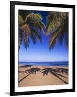 Beach of the Peak, Puerto Rico. Palm trees and their shadows on beach.-Stuart Westmorland-Framed Premium Photographic Print