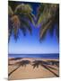Beach of the Peak, Puerto Rico. Palm trees and their shadows on beach.-Stuart Westmorland-Mounted Premium Photographic Print