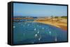 Beach of Tregastel, Cote De Granit Rose, Cotes D'Armor, Brittany, France, Europe-Tuul-Framed Stretched Canvas