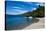 Beach on a Mountain Lake in Los Alerces National Park, Chubut, Patagonia, Argentina, South America-Michael Runkel-Stretched Canvas