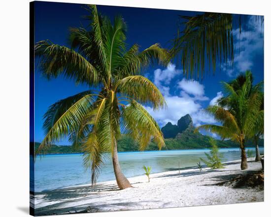 Beach on Bora Bora, Island of Tahiti, French Polynesia, The South Seas-null-Stretched Canvas