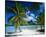 Beach on Bora Bora, Island of Tahiti, French Polynesia, The South Seas-null-Stretched Canvas