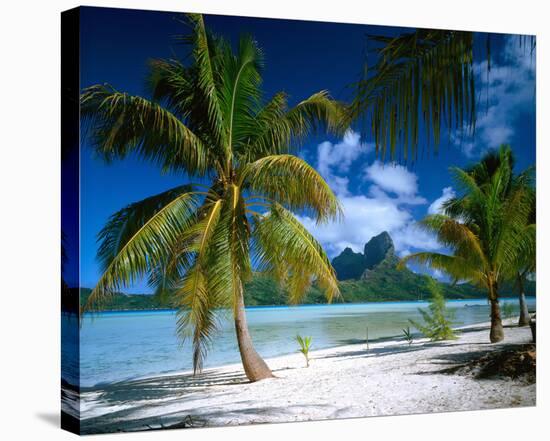 Beach on Bora Bora, Island of Tahiti, French Polynesia, The South Seas-null-Stretched Canvas