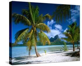 Beach on Bora Bora, Island of Tahiti, French Polynesia, The South Seas-null-Stretched Canvas