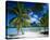 Beach on Bora Bora, Island of Tahiti, French Polynesia, The South Seas-null-Stretched Canvas