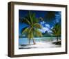 Beach on Bora Bora, Island of Tahiti, French Polynesia, The South Seas-null-Framed Art Print